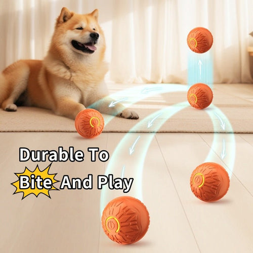 Balle Sauteuse Électrique Lumineuse pour Chien 🐾 - Jouet Interactif Autonome - Ma boutique pharaonMa boutique pharaon