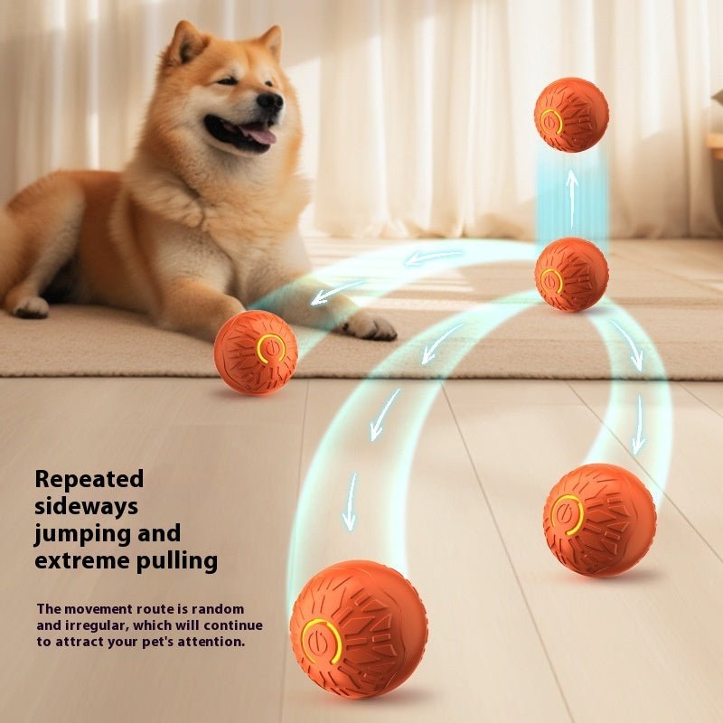 Balle Sauteuse Lumineuse pour Chien ou Coque de Rechange - Selon l'Option – vue 3 | Ma boutique pharaon