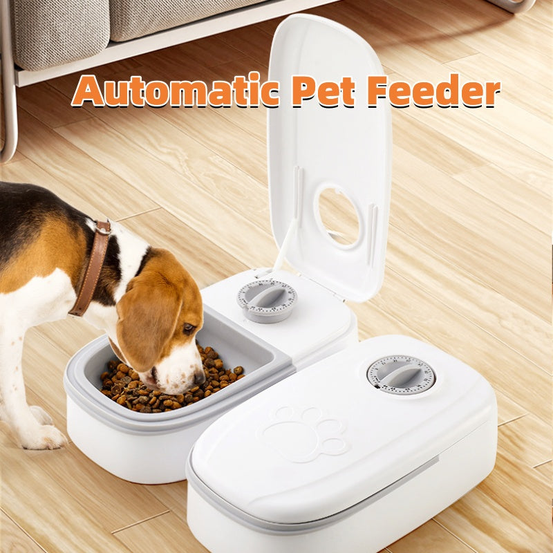 Distributeur de nourriture et d'eau pour chat et chien - vue principale